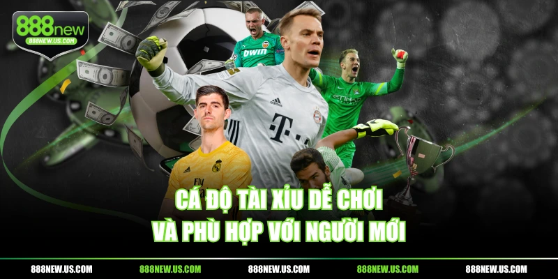 Cá độ tài xỉu dễ chơi và phù hợp với người mới