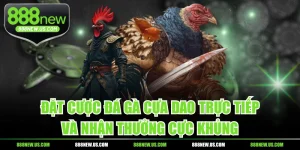 Đặt Cược Đá Gà Cựa Dao Trực Tiếp Và Nhận Thưởng Cực Khủng