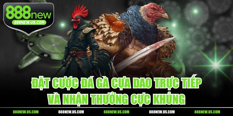 Đặt Cược Đá Gà Cựa Dao Trực Tiếp Và Nhận Thưởng Cực Khủng