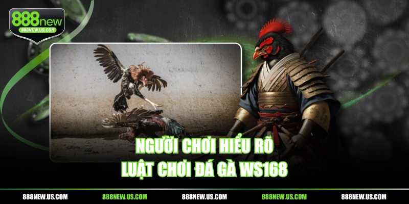 Người chơi hiểu rõ luật chơi đá gà WS168