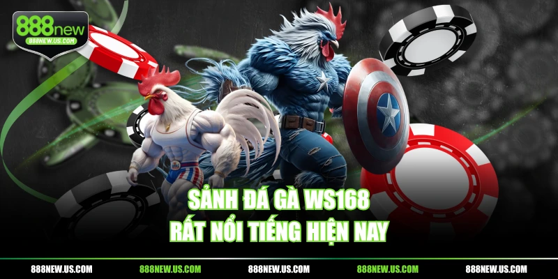 Sảnh đá gà WS168 rất nổi tiếng hiện nay