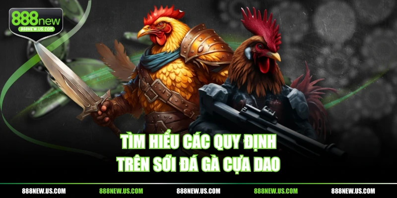 Tìm hiểu các quy định trên sới đá gà cựa dao