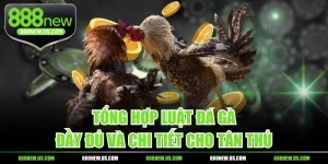 Tổng Hợp Luật Đá Gà Đầy Đủ Và Chi Tiết Cho Tân Thủ